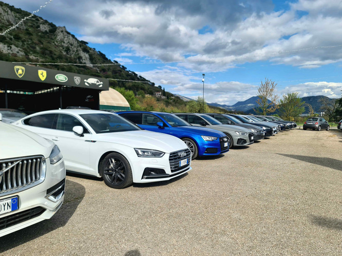 dealer showroom